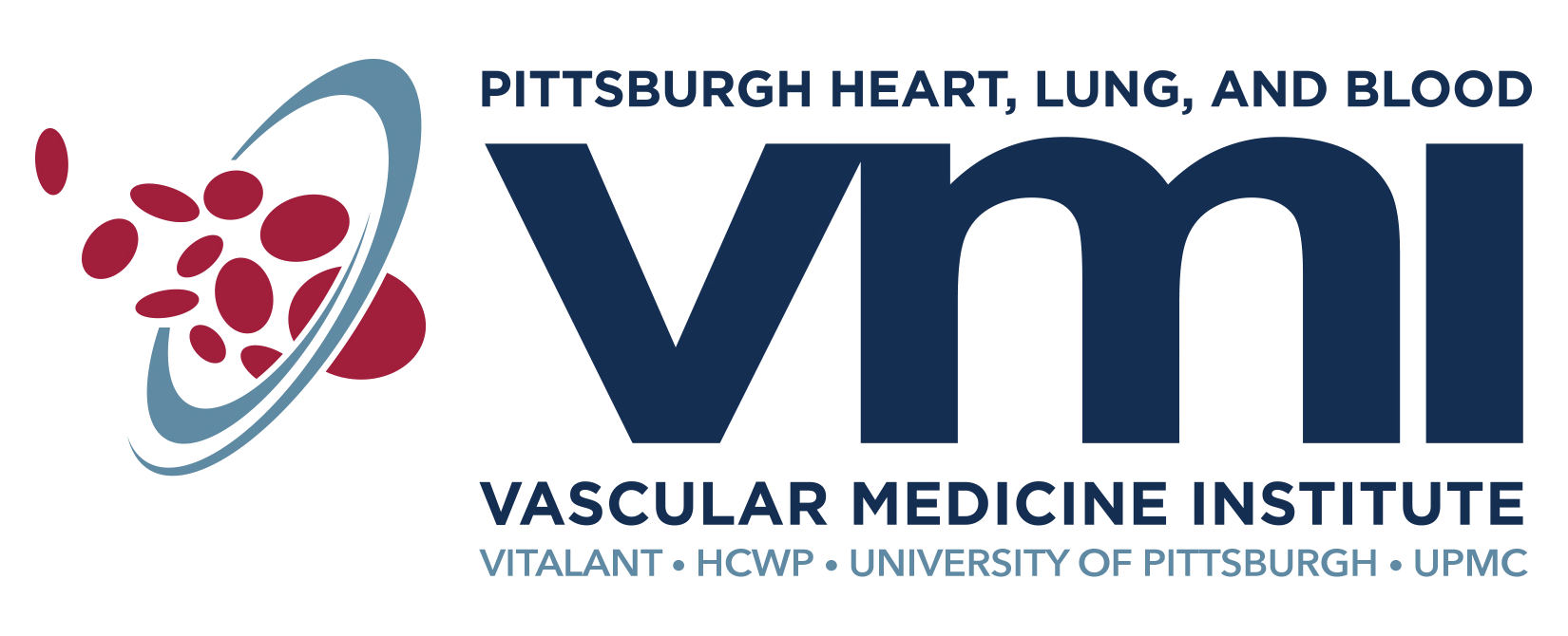 VMI Logo